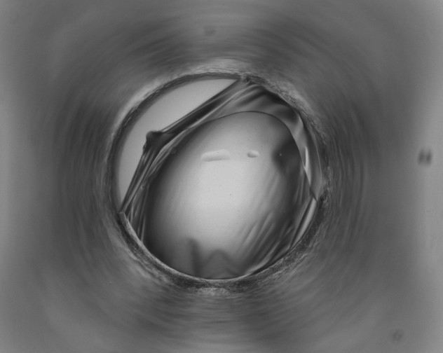 X0000091950392200709271330