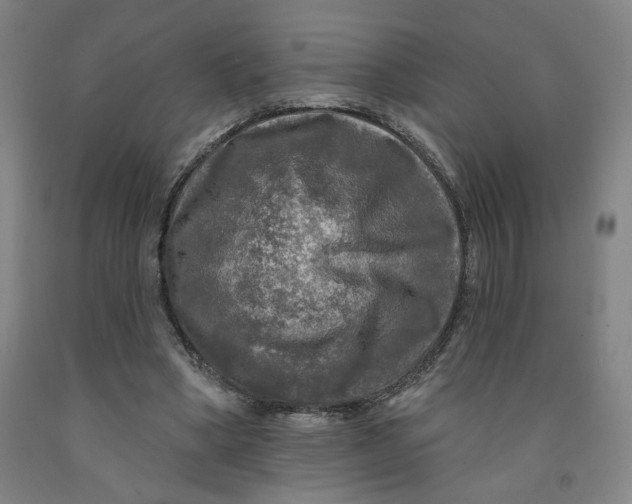 X0000091950394200709271330