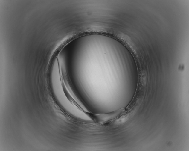 X0000091950395200709271330