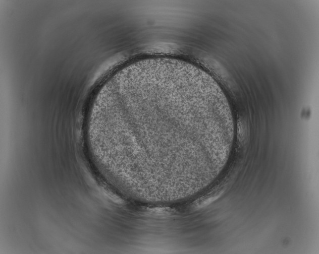 X0000091950396200709271330