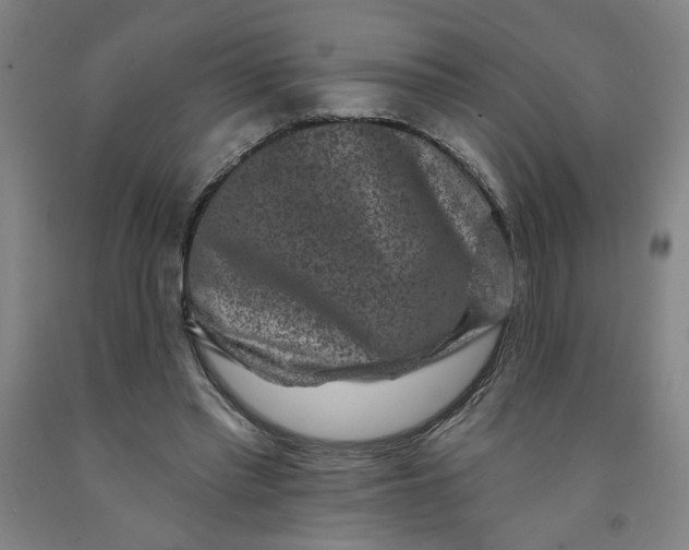 X0000091950397200709271330