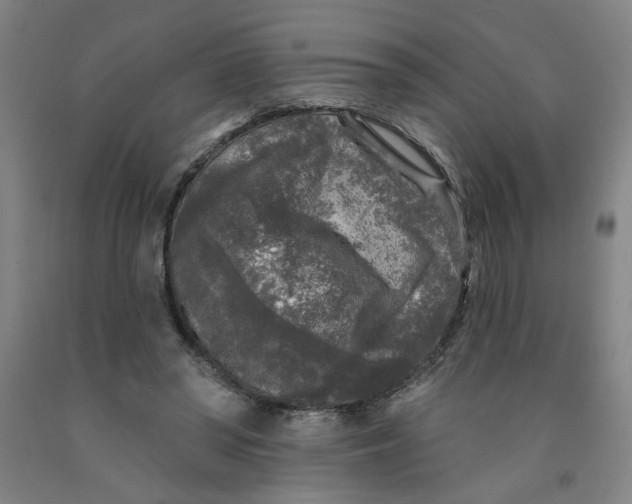 X0000091950398200709271330