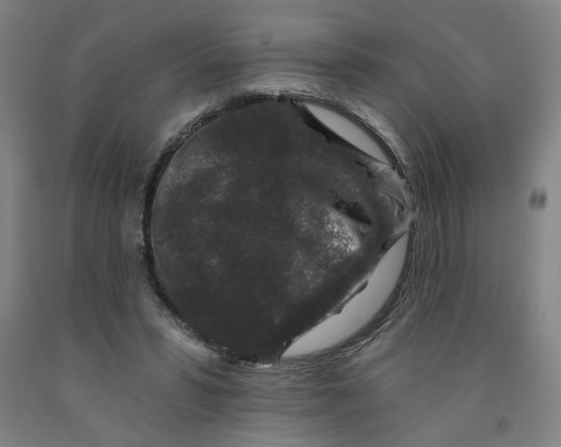 X0000091950399200709271330