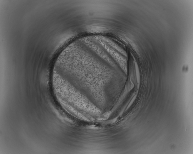 X0000091950400200709271330