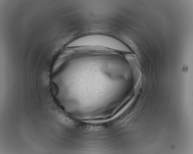 X0000091950401200709271330