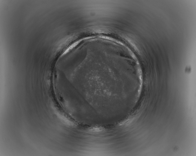 X0000091950402200709271330