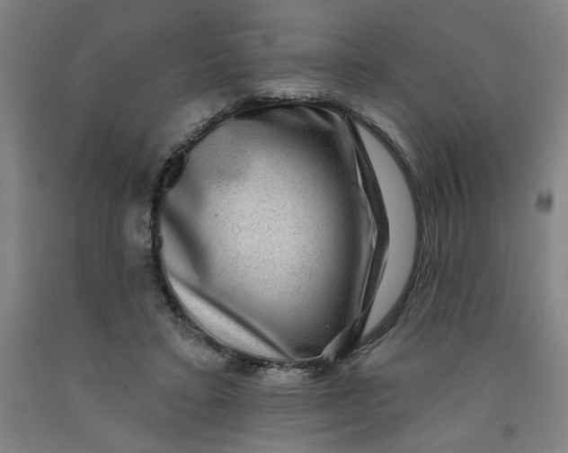 X0000091950403200709271330