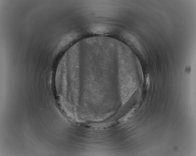 X0000091950404200709271330