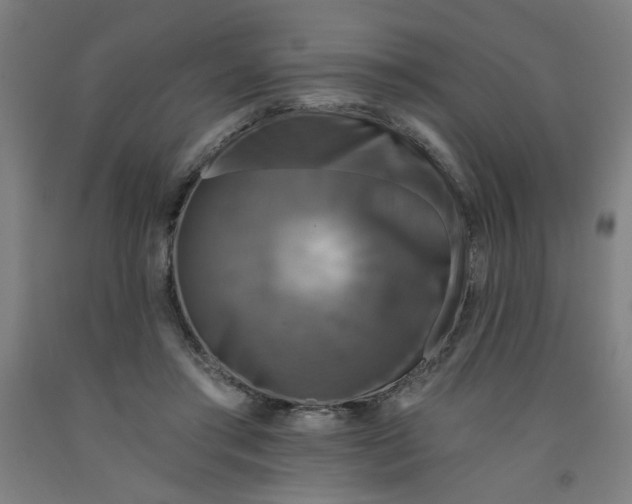 X0000091950405200709271330