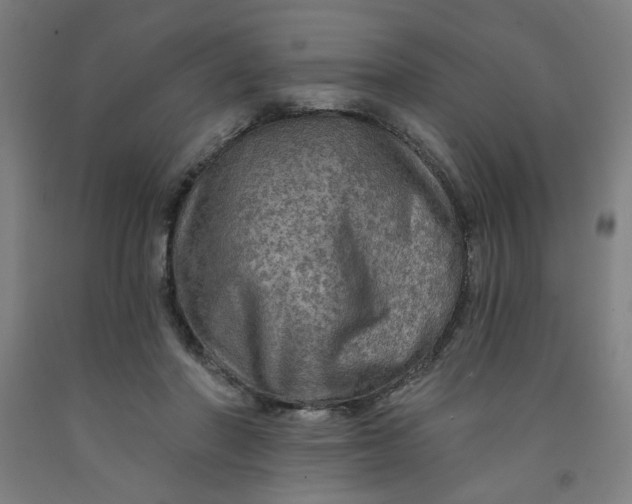 X0000091950406200709271330