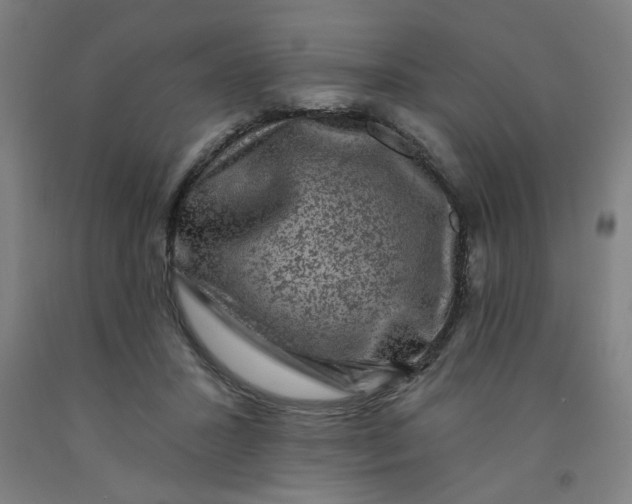 X0000091950407200709271330