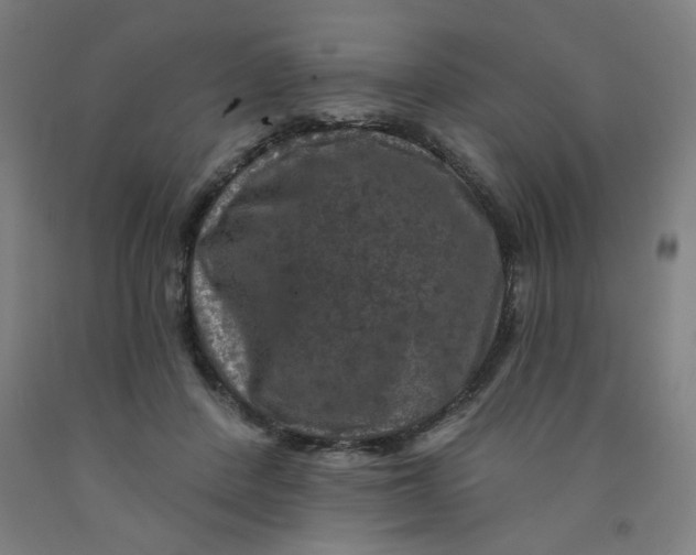 X0000091950408200709271330