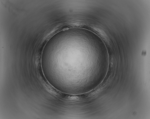 X0000091950409200709271330