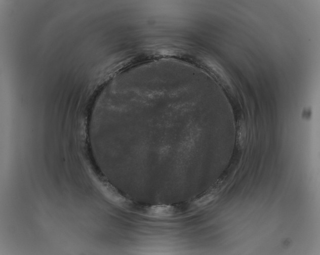 X0000091950410200709271330