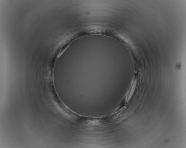 X0000091950411200709271330