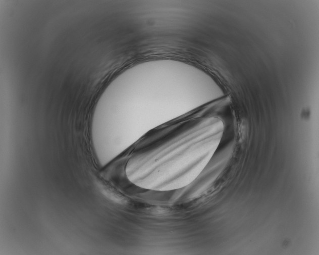 X0000091950412200709271330