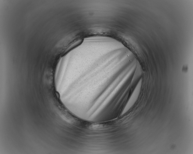 X0000091950413200709271330