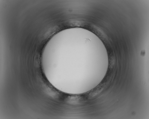 X0000091950414200709271330