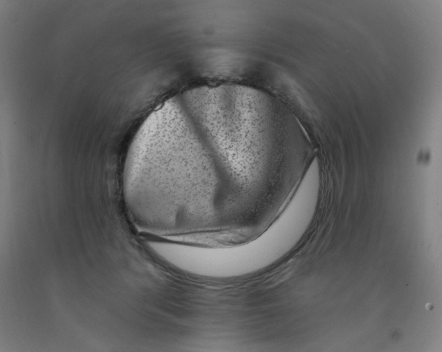 X0000091950416200709271330