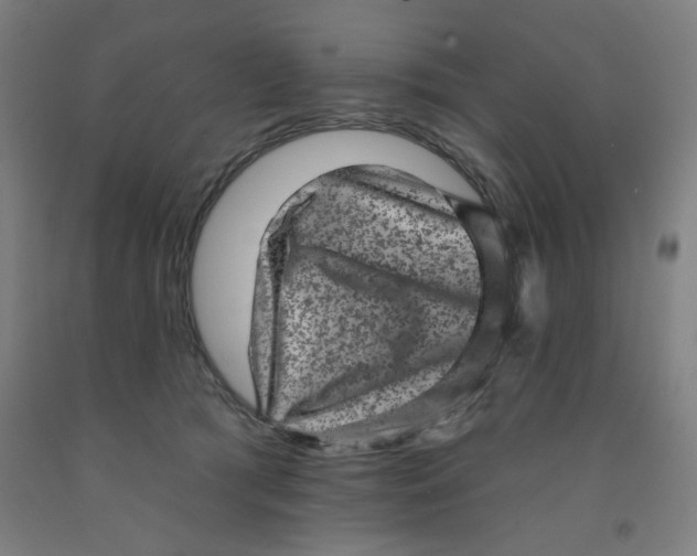 X0000091950417200709271329