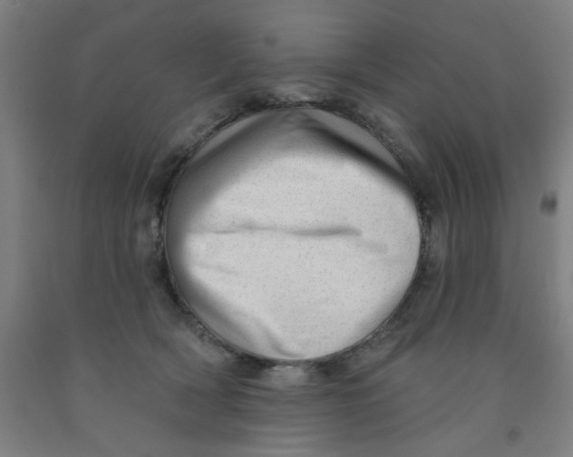 X0000091950418200709271329