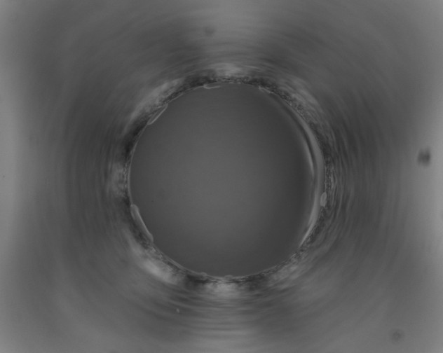 X0000091950419200709271329