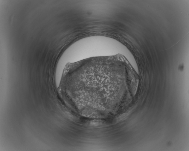 X0000091950420200709271329