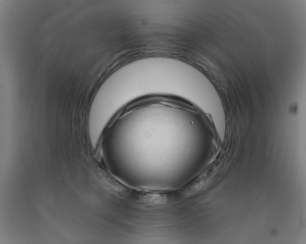 X0000091950421200709271329