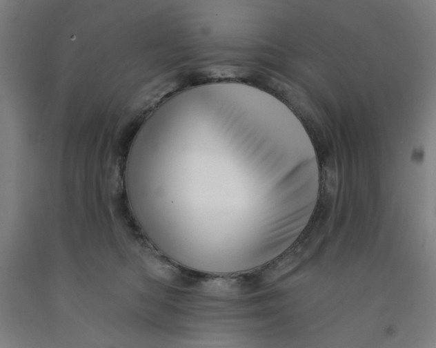 X0000091950422200709271329