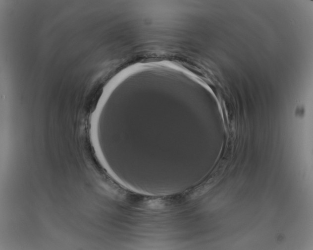 X0000091950423200709271329