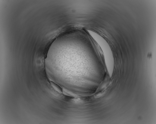 X0000091950425200709271329