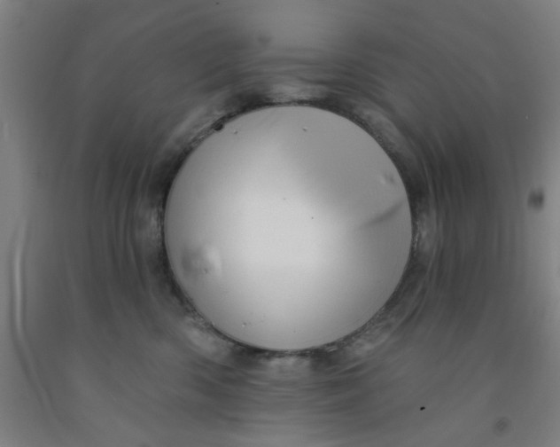 X0000091950426200709271329