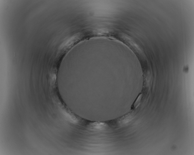 X0000091950427200709271329