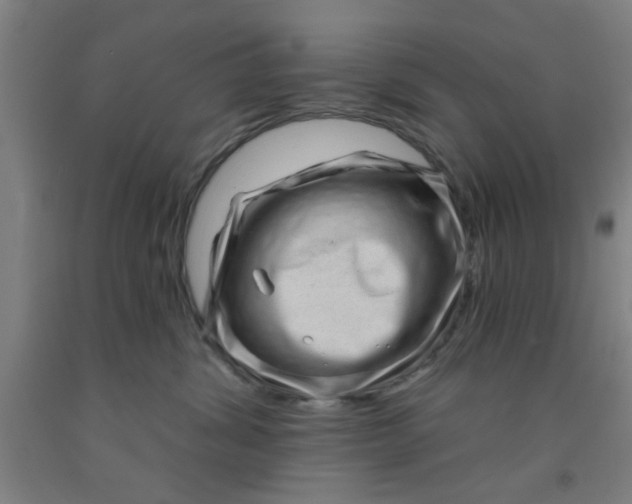 X0000091950428200709271329