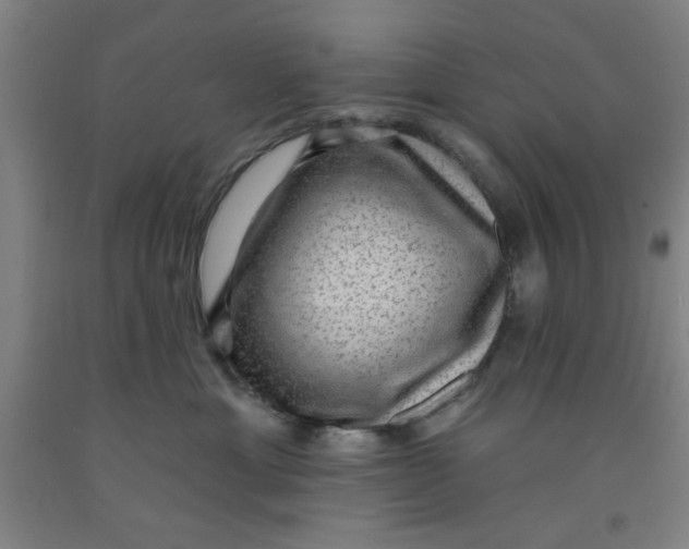 X0000091950429200709271329