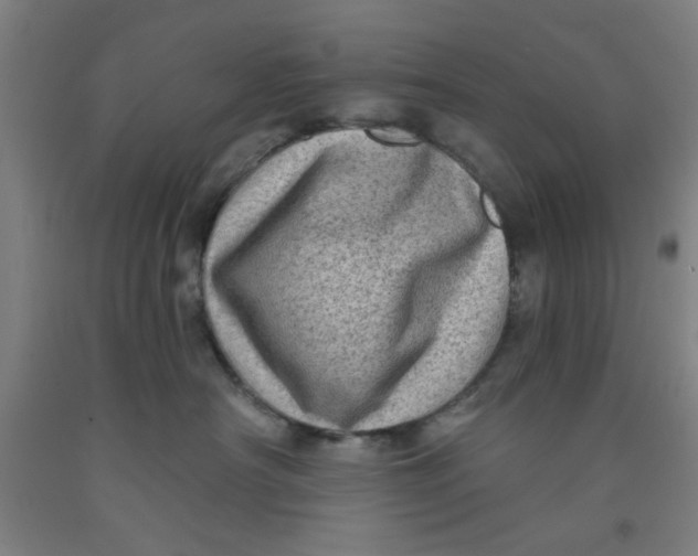 X0000091950430200709271329