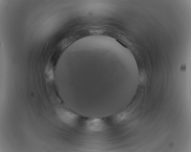 X0000091950431200709271329