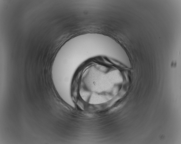 X0000091950432200709271329