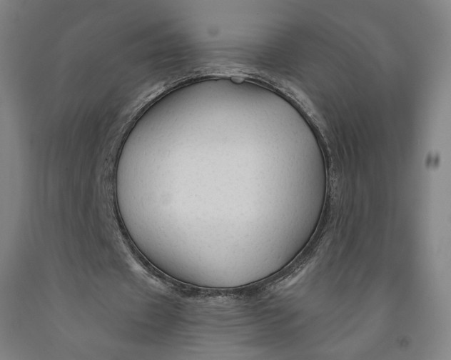 X0000091950433200709271329