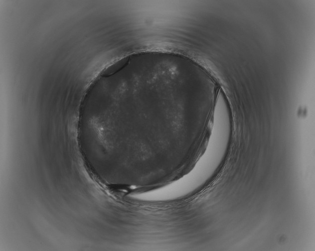 X0000091950434200709271329