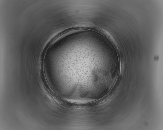 X0000091950435200709271329