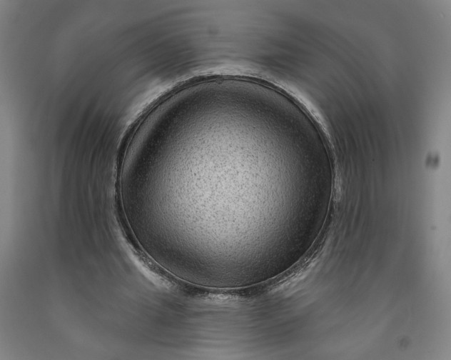 X0000091950437200709271329