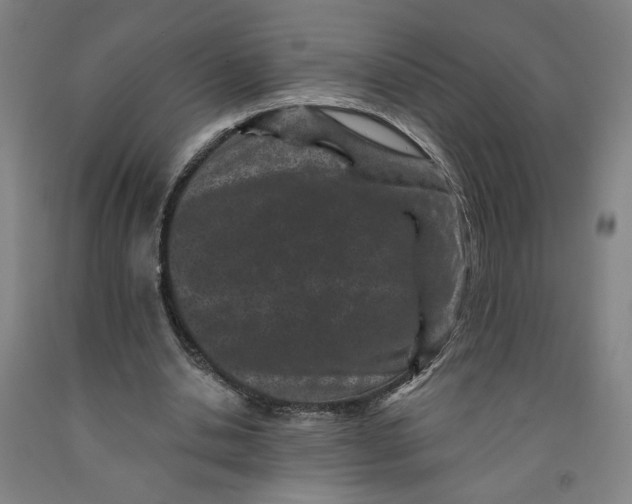 X0000091950438200709271329