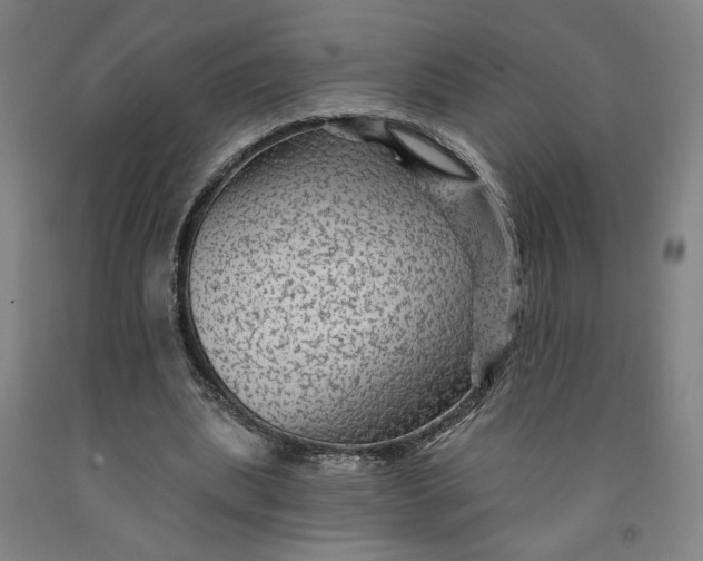 X0000091950439200709271329