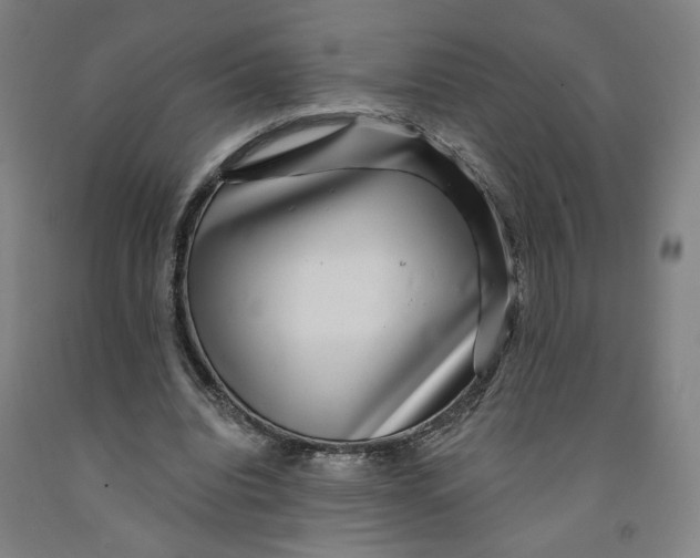 X0000091950440200709271329