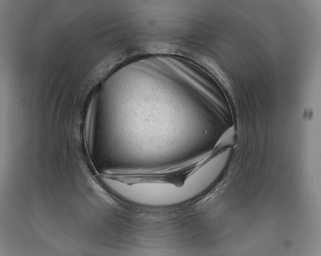 X0000091950441200709271329