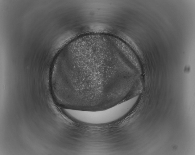 X0000091950442200709271329