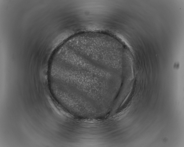 X0000091950443200709271329