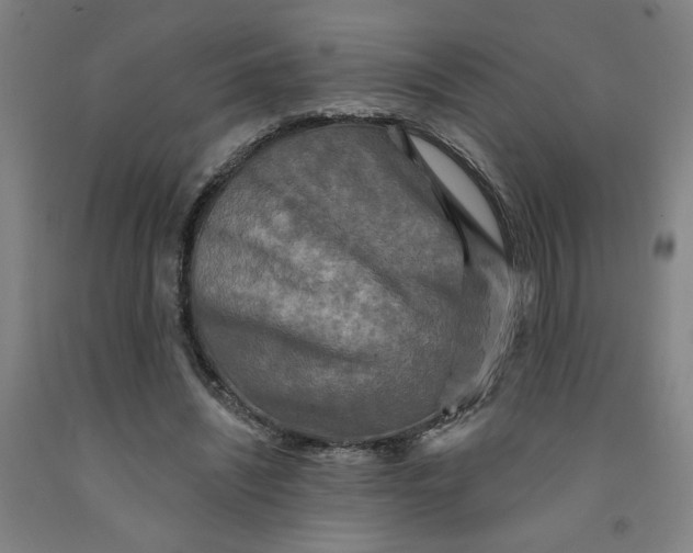 X0000091950444200709271329