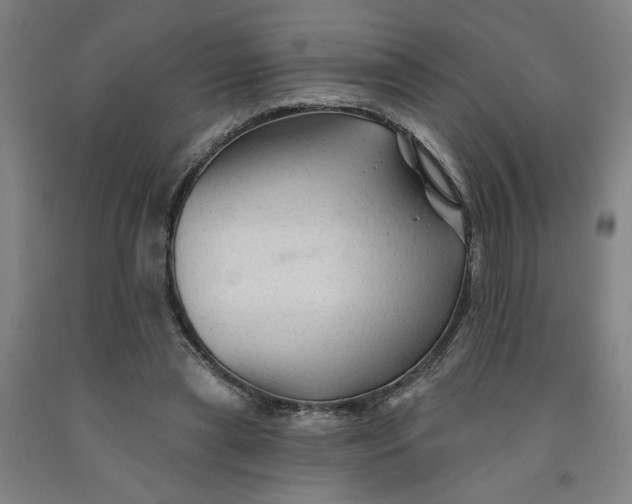 X0000091950445200709271329